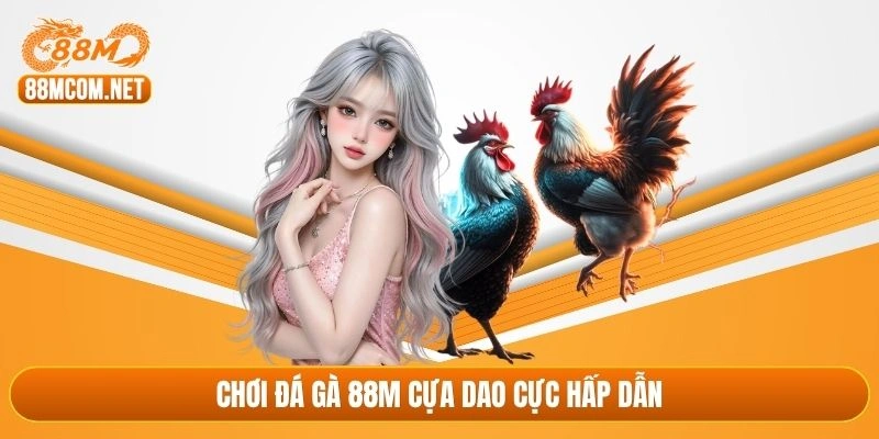 Chơi đá gà 88M cựa dao cực hấp dẫn