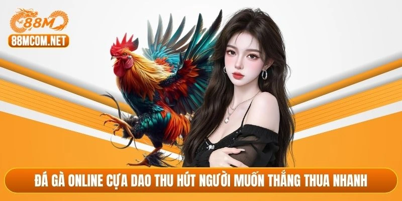 Đá gà online cựa dao thu hút người muốn thắng thua nhanh