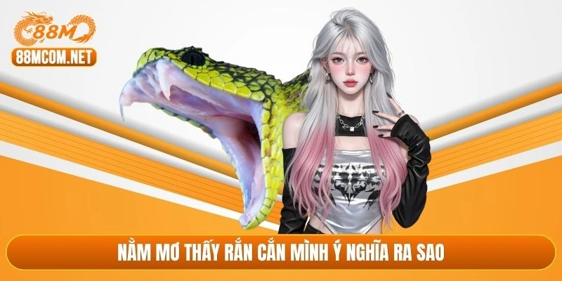 Nằm mơ thấy rắn cắn mình ý nghĩa ra sao