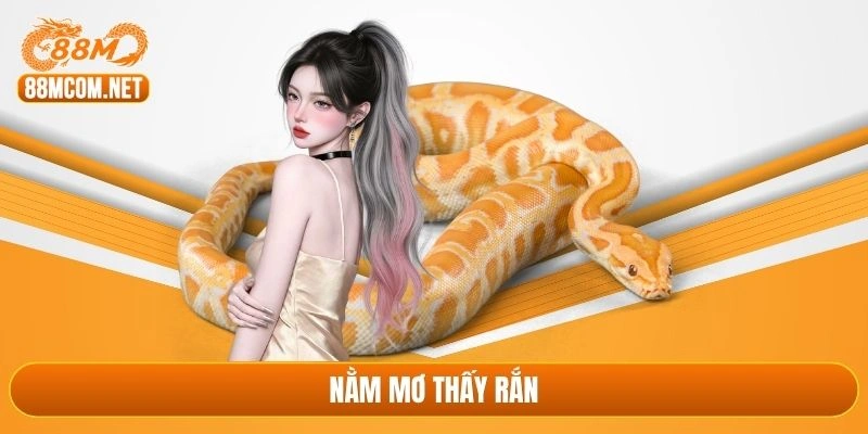 nằm mơ thấy rắn